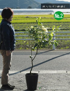 背̖/EG/hsNl[h/sNhANo2iF1.2mOj2024.11Be