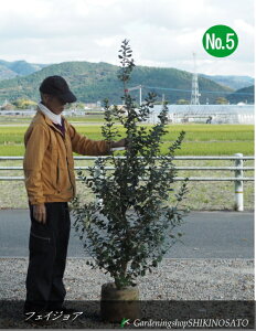 tFCWAiF1.8mOjNo5@2024.11Be