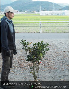 zRhE_i`hE_jgsNVfAhiF1.1mOj2024.11Be