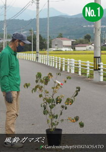 K}Y~/tEK}Y~iF0.9mOj2021.9Be