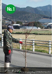 A[h iF1.6mOj2022.1Be