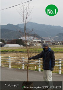 qVEPViF2.8mOjNo12022.2Be