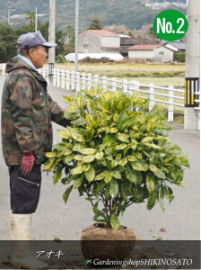 AIL/؁iAILo/ؗtjNo2iF1.2mOj