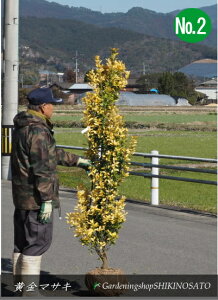 yz}TL "}TL" No2iF1.6mOj2023.1Be