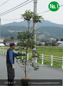 yzhCA/hCNo1iF2.4mOj2023.3Be