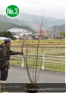 W[x[/Wx[h}L[hNo3iF1.8mOj2022.11Be