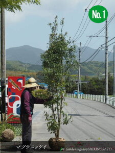 }cjbPC/CkKViF2.7mOj2023.4Be