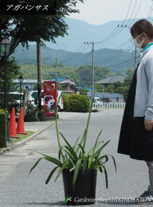 AKpTX(F1mOԂ܂)2023.5Be