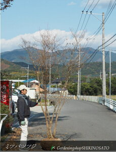 ~coccW/OtccW@ԐFFniF2.5mOj2024.12Be