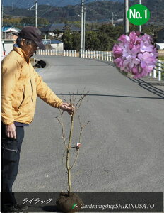 CbNiԐFFjiF1mOj2025.1Be