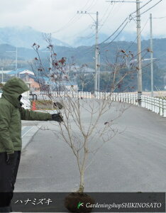 ni~YL/Ԑ؁@hԁh@iF2mOj2024.1Be