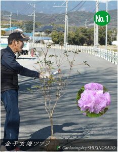 2025.2QtccW "qCiJlRQJCjccW"iF1.4mOj2025.2Be