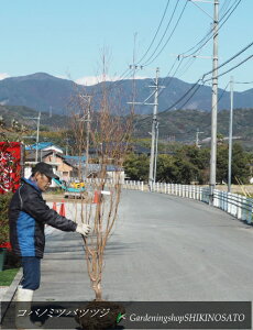 Rom~coccW/ԐFFZsNniF2.3mOj2025.2Be