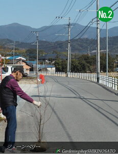 W[x[/Wx[h}L[hNo2iF1.4mOj2025.2Be