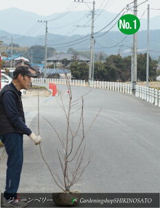 W[x[h}L[hNo1iF1.3mOj2025.2Be