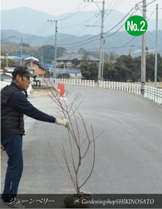 W[x[h}L[hNo2iF1.5mOj2025.2Be