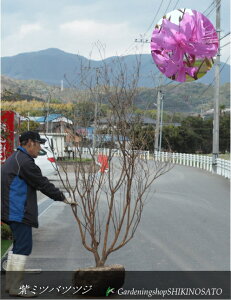 ~coccW/OtccW@ԐFFniF2.3mOj2025.3Be