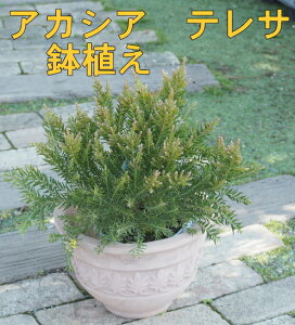 ylC̃AJVAE␫zAJVA@eT@AieRb^j iF0.5mOj