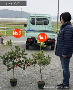 hCA/hCiVNiQhLjiF1mOj2025.10Be