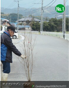 TThE_ccWiXѓUPjiF1.7mOj2025.3Be