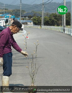 2025.3.22JԒEԉtN/ؘ@/}OmAhALThAhNo2iF1.3mOj2025.3Be