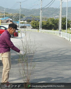 LiMij iF1.3mOj2025.3Be