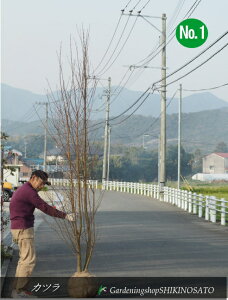 JcEjiF2.6mOj2025.3Be