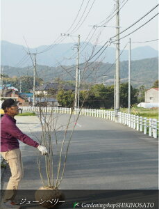 W[x[/Wx[h}L[hiF2.2mOj2025.3Be