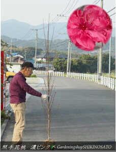Ǝԓ/ni/Ǝ蓍hg/ZsNhiF1.8mOj2025.3Be