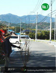 Jc/jiF2mOjNo1@2025.4Be