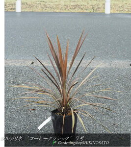 RWl(RfBl)hR[q[NbVNhiF0.7mEF60cmE7j2025.4Be