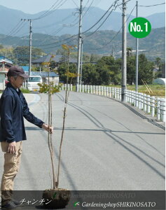 ``/``t~ONo1i@1.6mOj2025.4Be