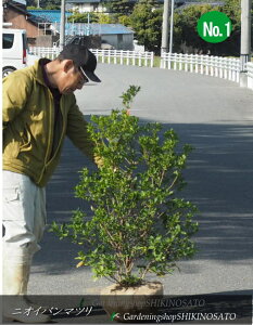 2025.4.17Qto}c/jICo}c //}cJiF1.2mOj2025.4Be