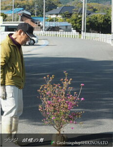 ccW/Ӓ̕@iF0.9mOj2025.4Be