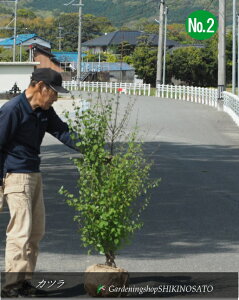 Jc /jNo2iF1.6mOj2025.4Be