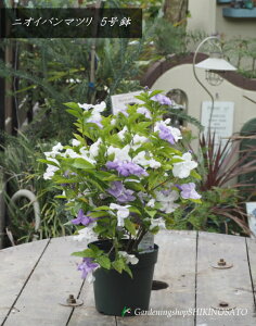 2025.4.23JԒjICo}c/仁i仁j5iF0.4mO܂ށj2025.4Be