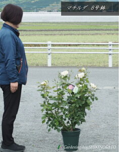 2025.4.25JԒyczlG炫֌noc}`_([Y)F1mOE82025.8Be