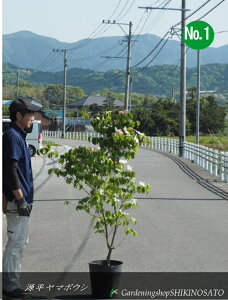 }{EV/R@tNo1iF1.5mO j2025.5Be