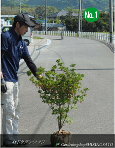 ghE_ccW/xjhE_ccWiF0.9mOj2025.5Be