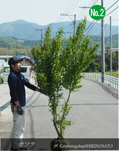 Jc /jiF1.8mOj2025.4Be