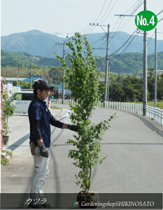 Jc /j@No4iF1.7mOj2025.5Be