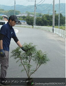 }zjAERt[T iF0.9mOj2025.5Be