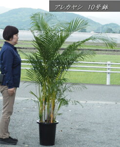 iyzAJV@iF1.7mOE10j2025.5Be