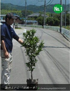 ckށ@B݂@1F1.1mO2025.6Be