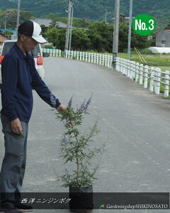 mjW{Niu[njF1mOj2025.6Be