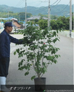 y傫ȎɈzIIcoiijiF1.4mOj2025.6Be