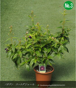 m{^/R[g_W[No3iF0.4mOj2025.8Be