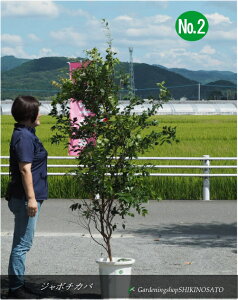 cyʎzW{`Jo@10@No2F1.5mOŜ̍1.7mO@2025.9Be