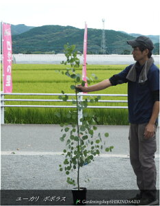 [J"||X"iF1.7mOj@2025.9Be