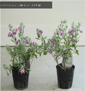 ERtB@2|bgZbgiF0.3mOE3.5|bgj2025.9Be